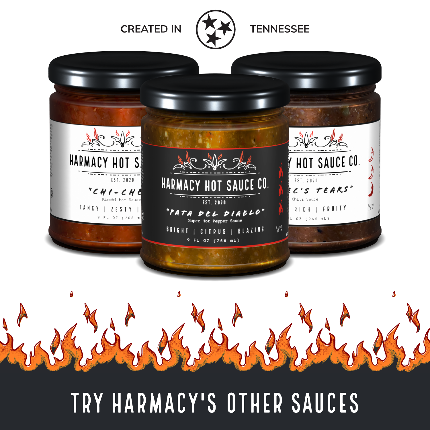 Variety Pack #1 - Best Sellers